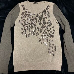 Express Sequined Grey Top